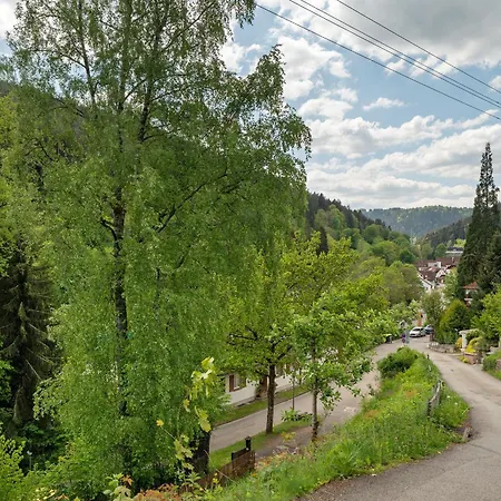 Lejlighed Urlaub Schwarzwaldliebe *