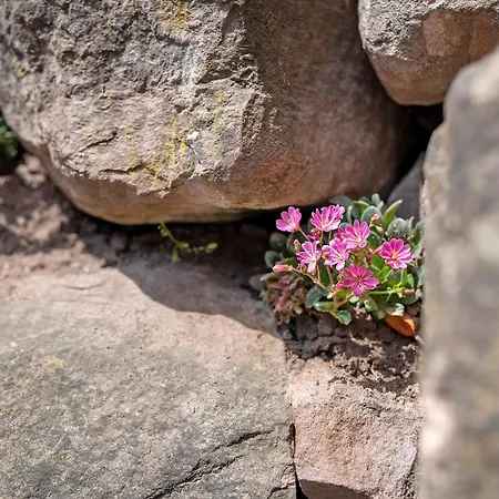 Urlaub Schwarzwaldliebe